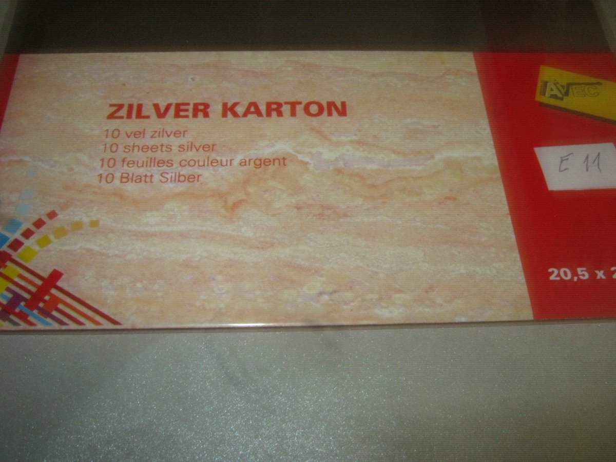 Avec 10 stuks vel zilver karton 20.5x29.5cm