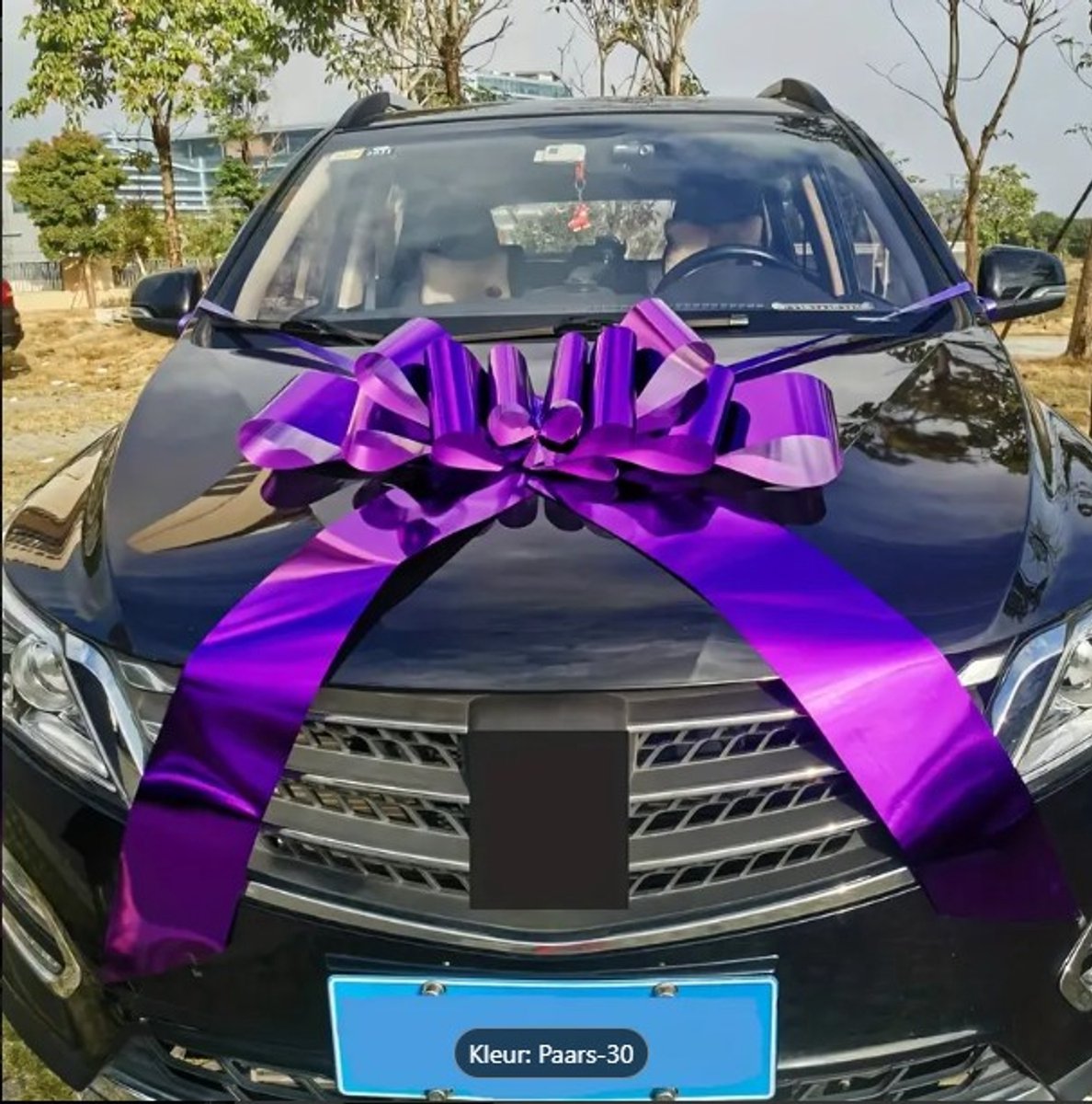 Grote paarse strik - auto strik - decoratie strik