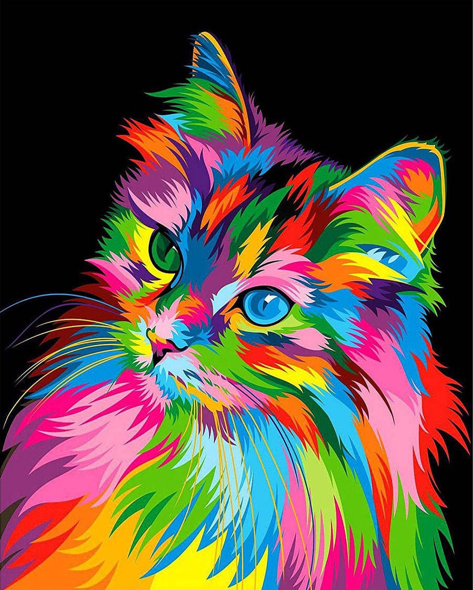BJoy Diamond Painting 40x50 - Kleuren Poes Kat