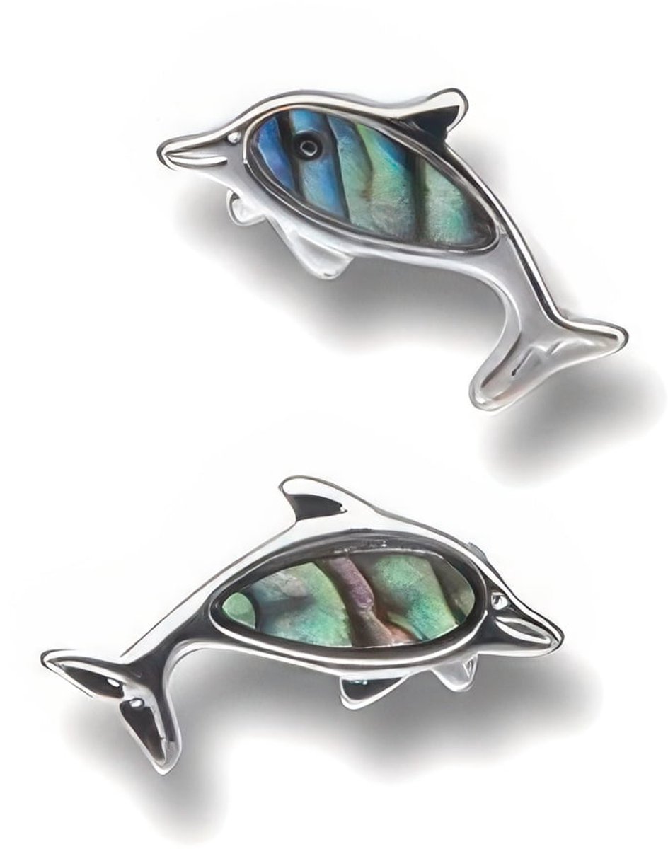 Oorbellen dolfijn met paua schelp