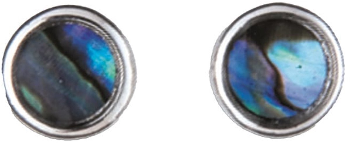 Oorbellen rond met paua schelp
