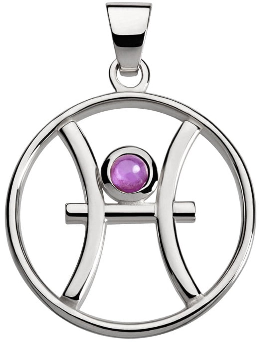 Vissen hanger met amethist