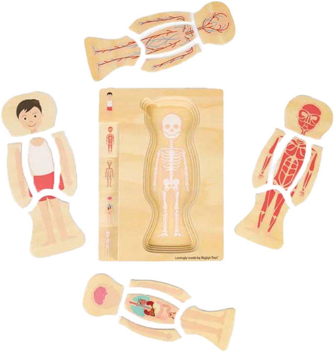 Bigjigs Houten Anatomiepuzzel - Jongen, 26st.