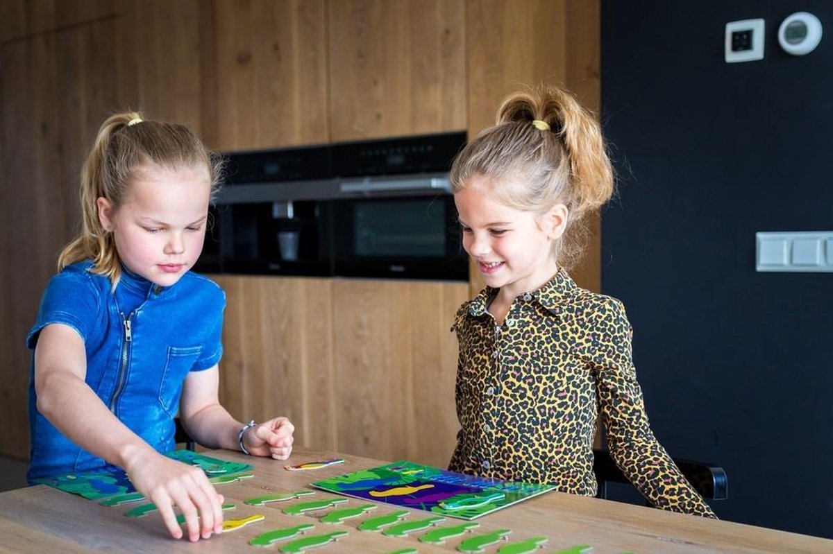 Bs Toys Gezelschapsspel Papegaaien 29 Cm Karton