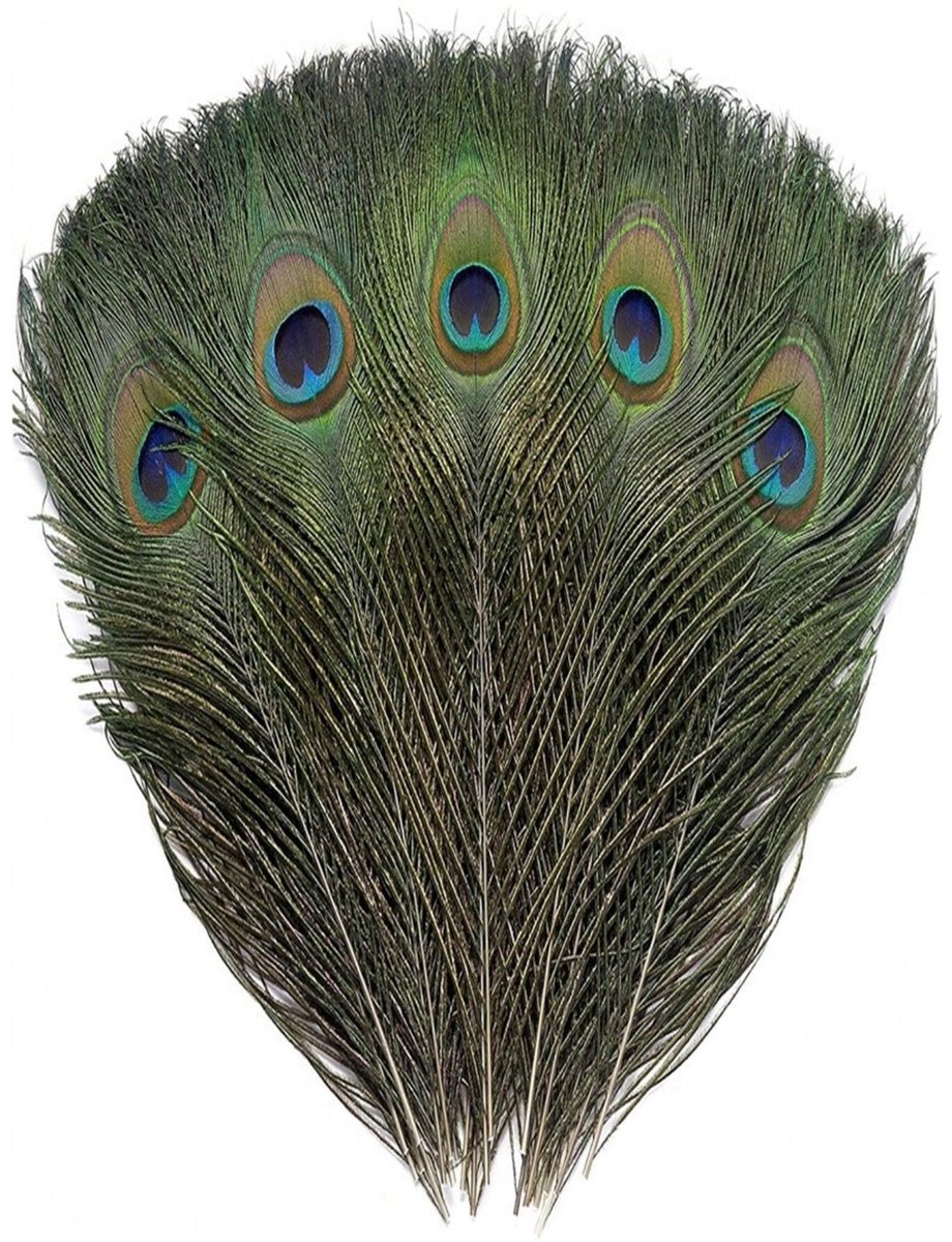 BamBella Pauw Veren 20 stuks - 25 tot 30 cm - pluche decoratie vogel veer knutselen hobby