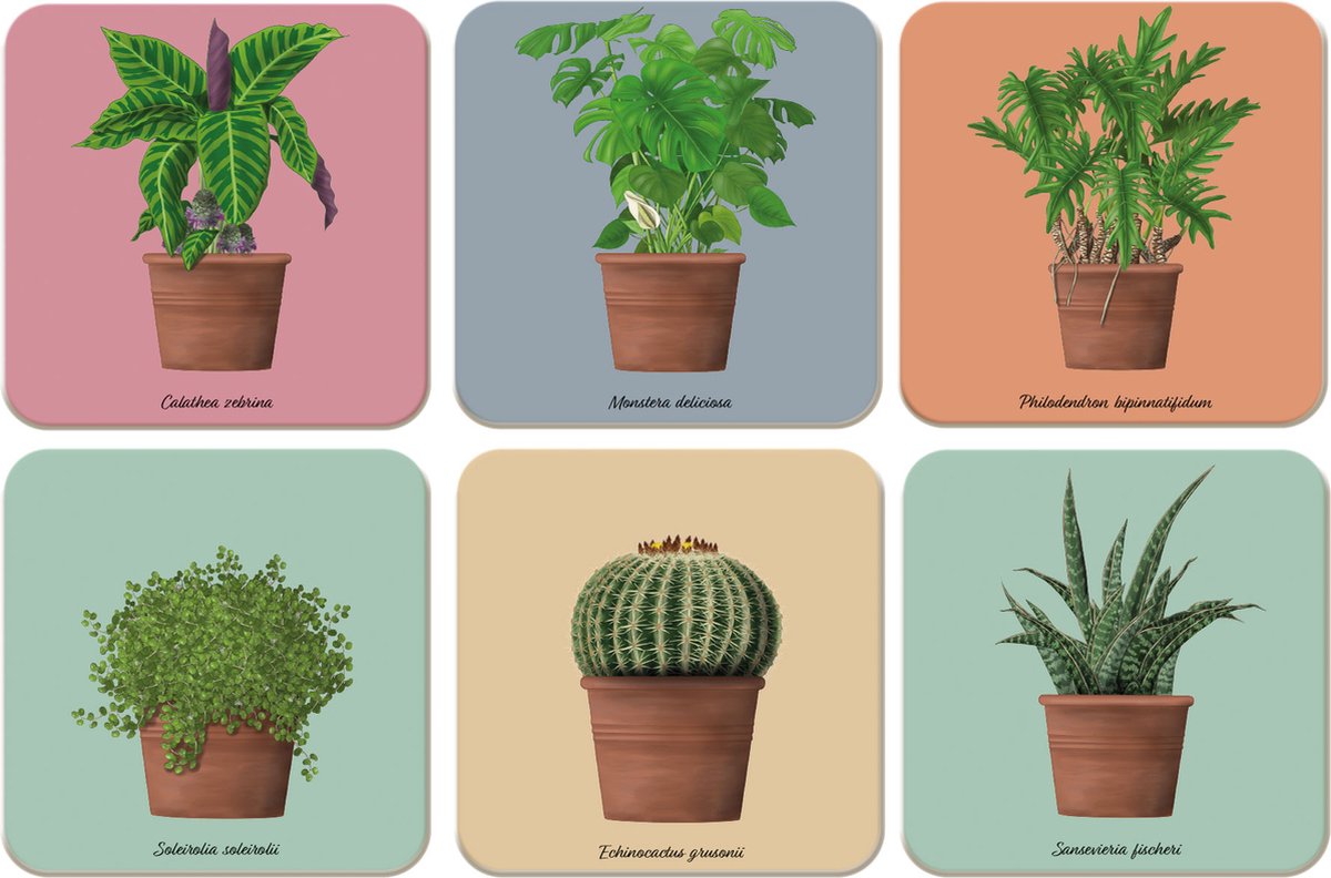Kamerplanten - Kelly van Koppenhagen - Hortus Botanicus Amsterdam Onderzetters 6 stuks