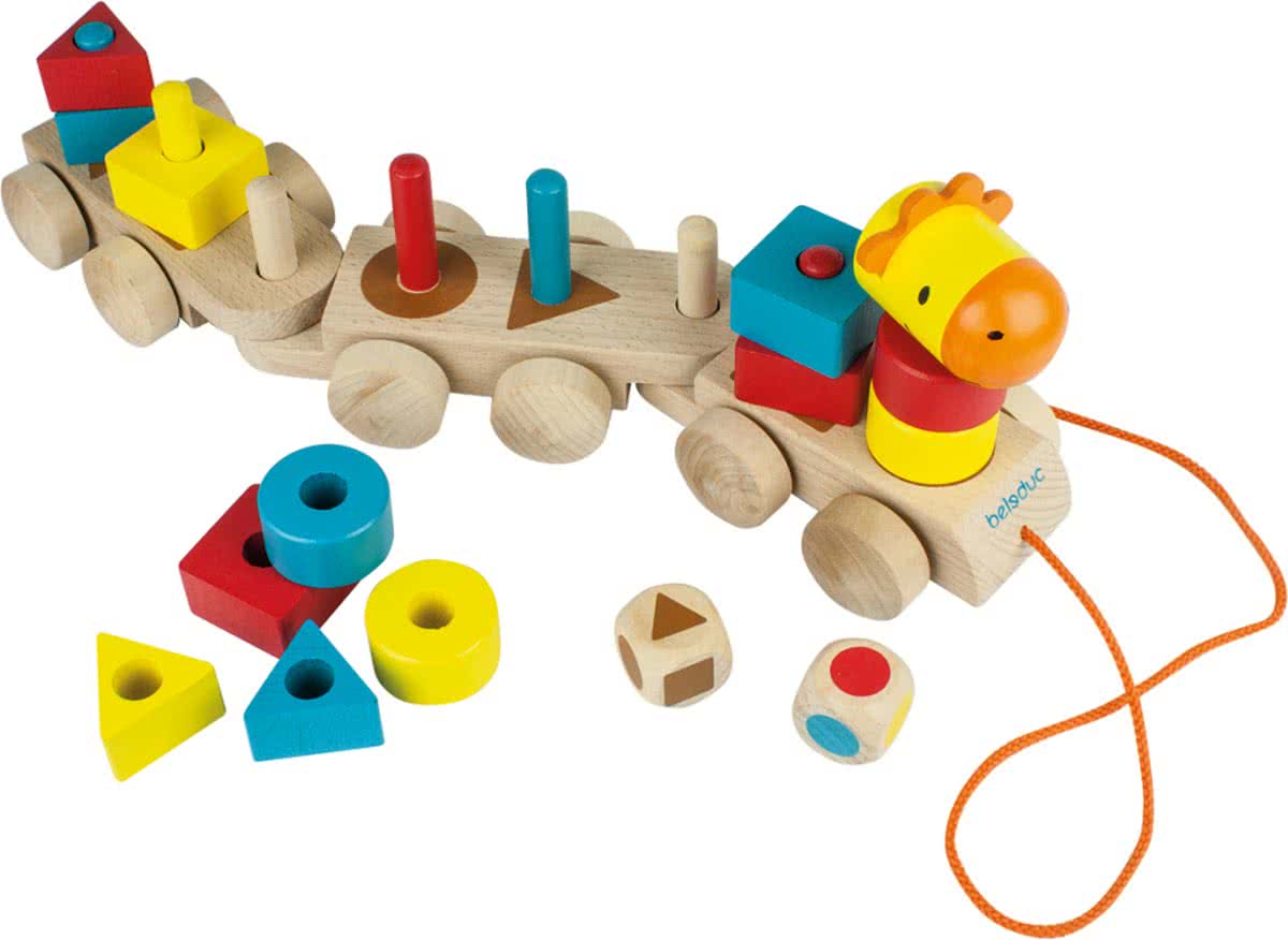 Houten blokkentrein sorteren