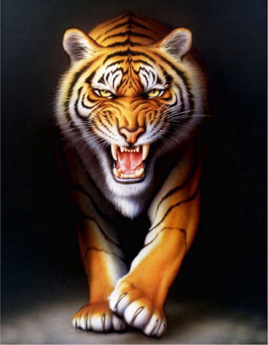 Schilderen op Nummer Set - Tijger Schaduw - incl. Verf & Penselen - 40x50cm