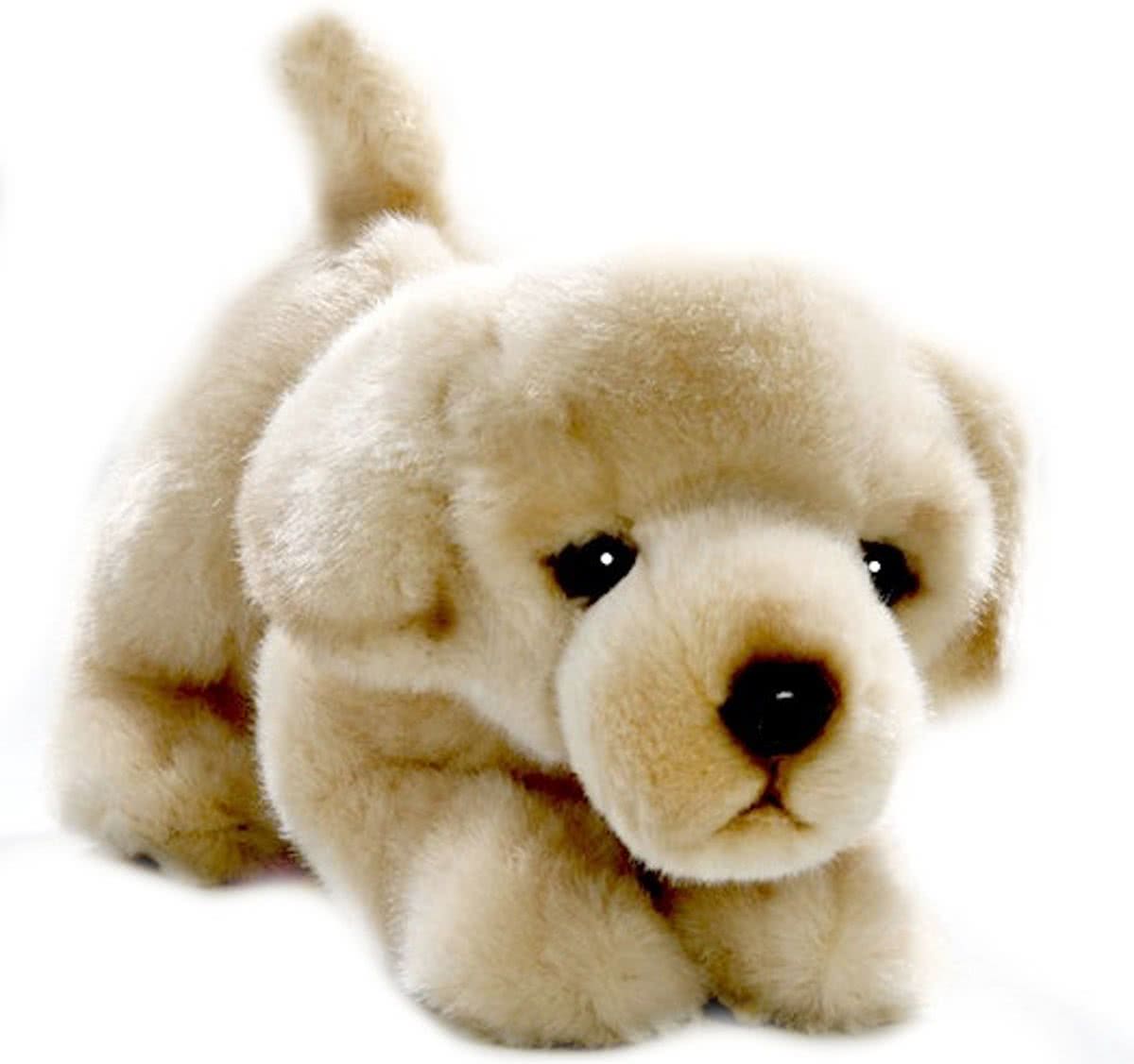Bicolini Knuffelhond Golden Retriever 23 Cm