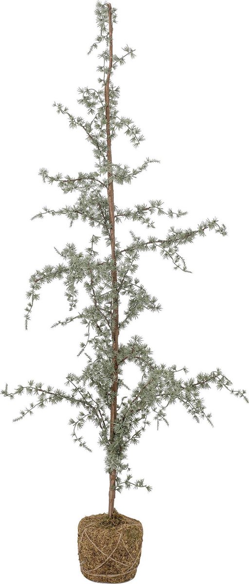 Bloomingville - Decoratie - Ceder - Kerstboom - H150cm