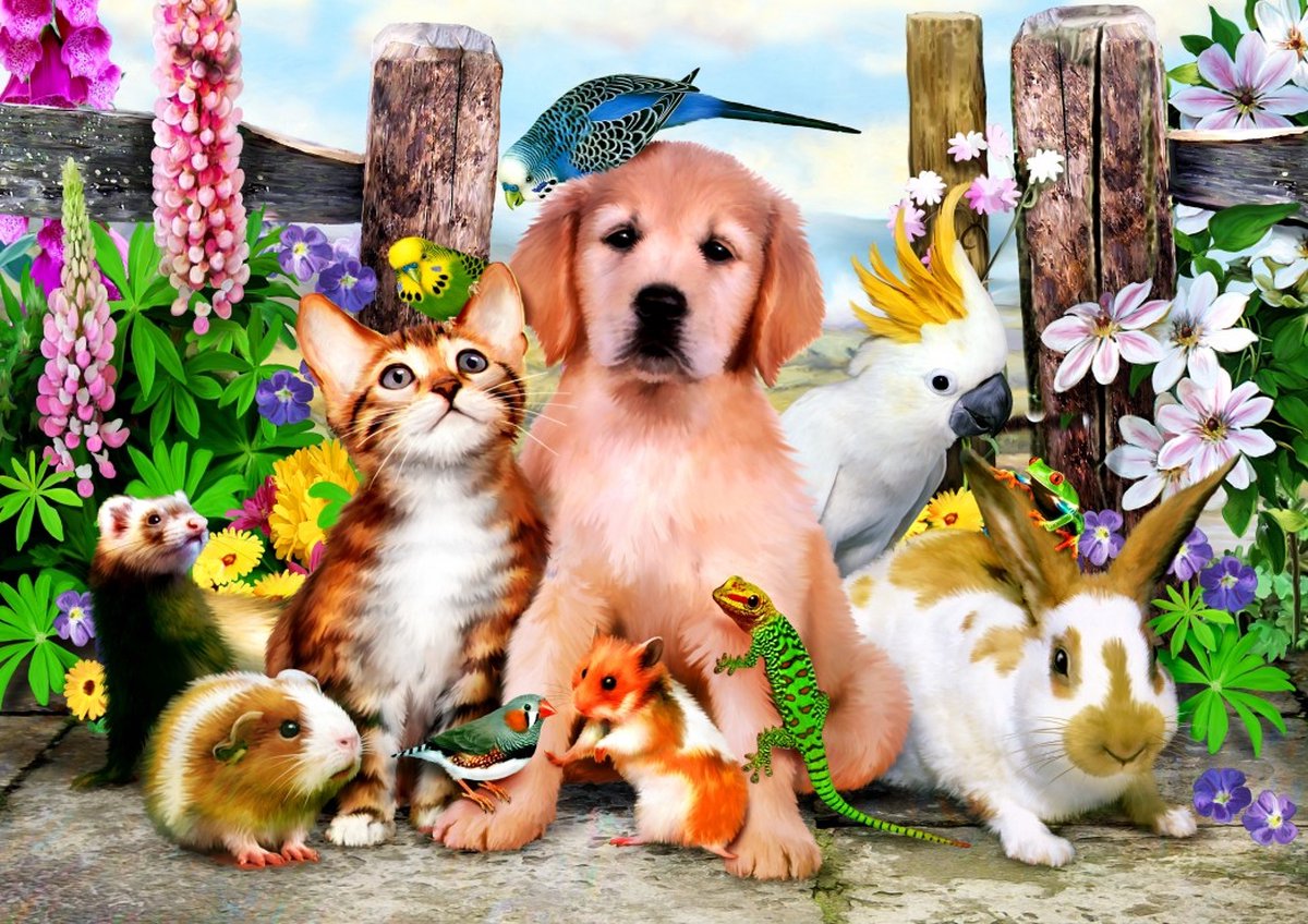 Bluebird Puzzle legpuzzel Good Companions - 204 stukjes kleurrijk speelgoed.