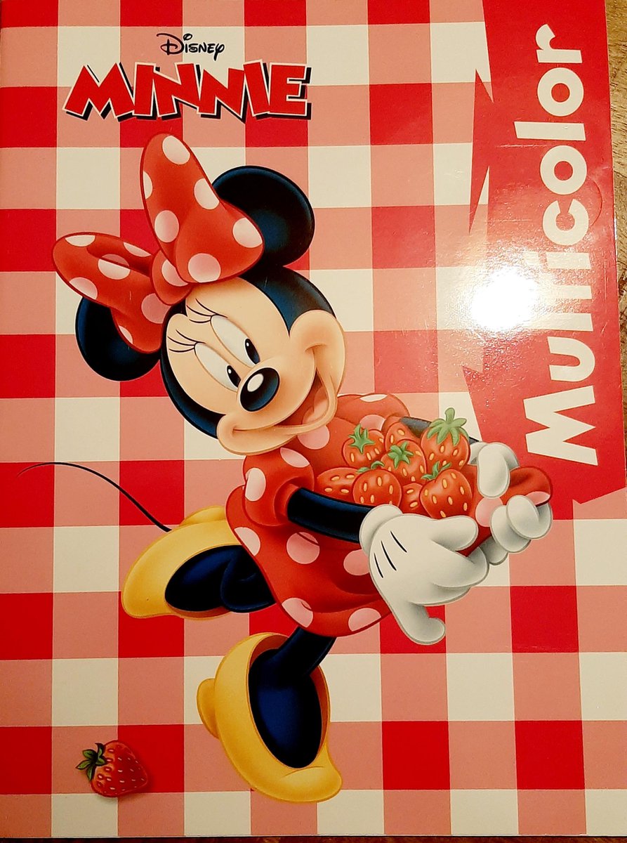 Multicolor kleurboek - Disney geruit rood - Minnie Mouse zomer fruit aardbei - keuken bakken jam - 17 kleurplaten