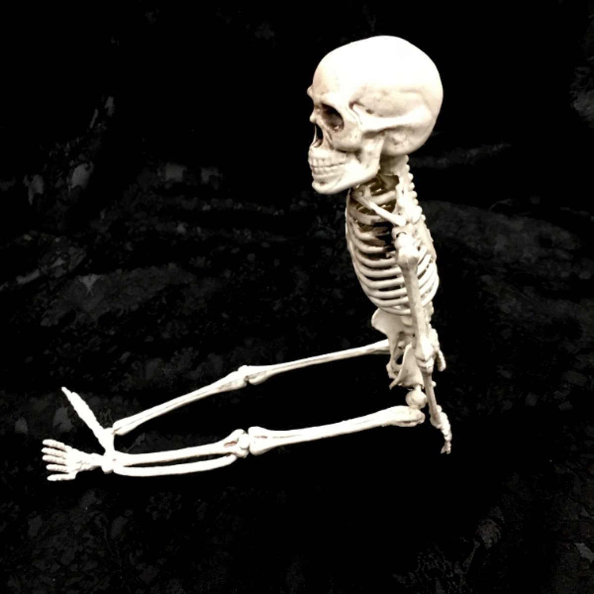 Decoratie Skelet (28cm) 5 stuks