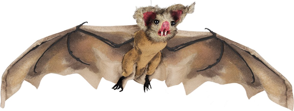 St. Decoratie Vliegende vleermuis (36 x 80 cm)