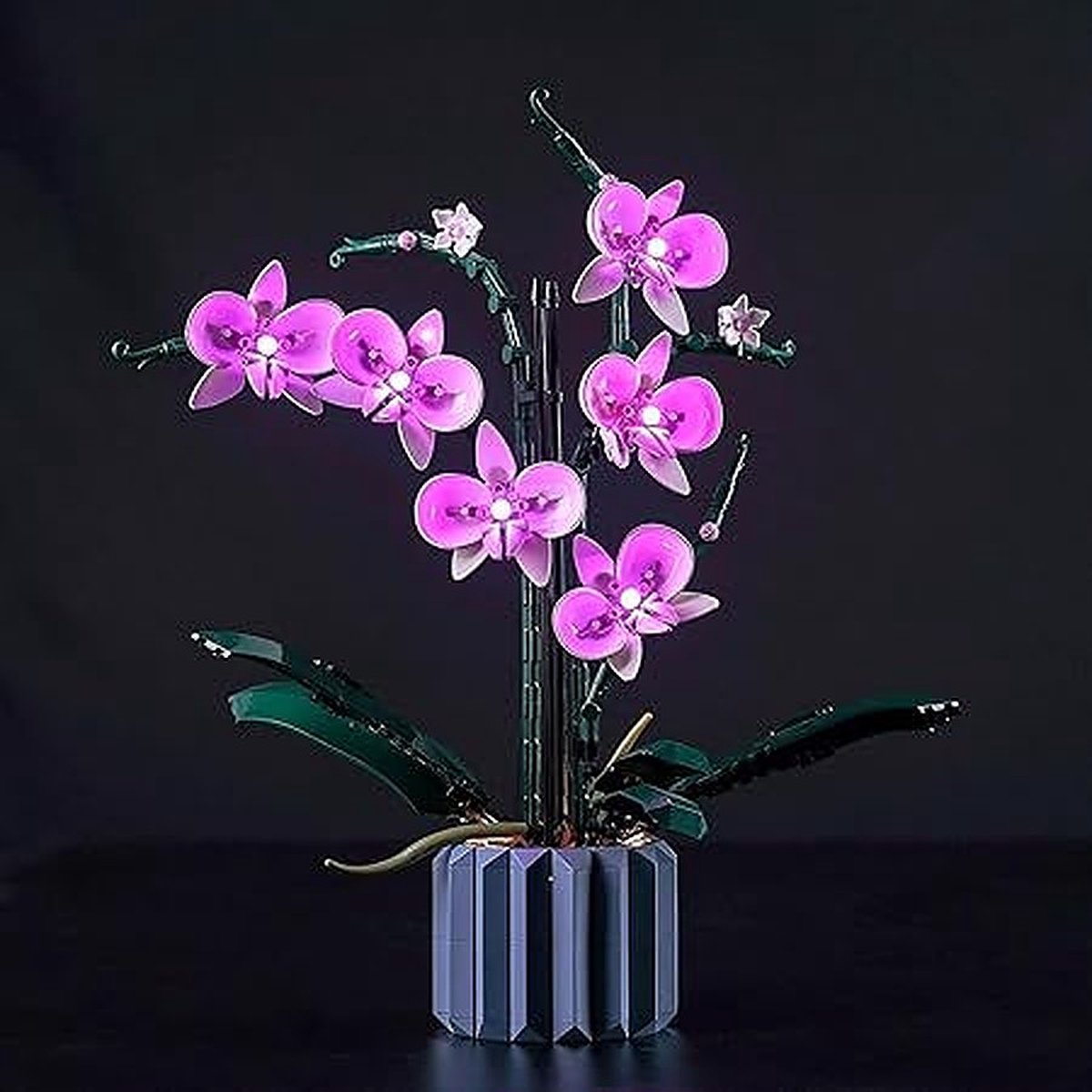 Ledlichtset voor bouwstenen Orchidee bouwstenen Orchidee Botanical Collection Set - alleen lichtset