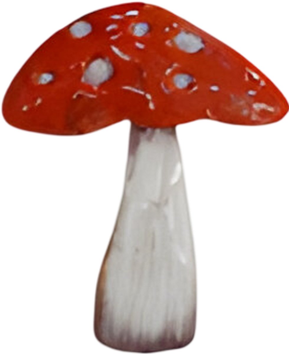 Buitengewoon de boet - Steker ijzer paddenstoel 16x45 cm I