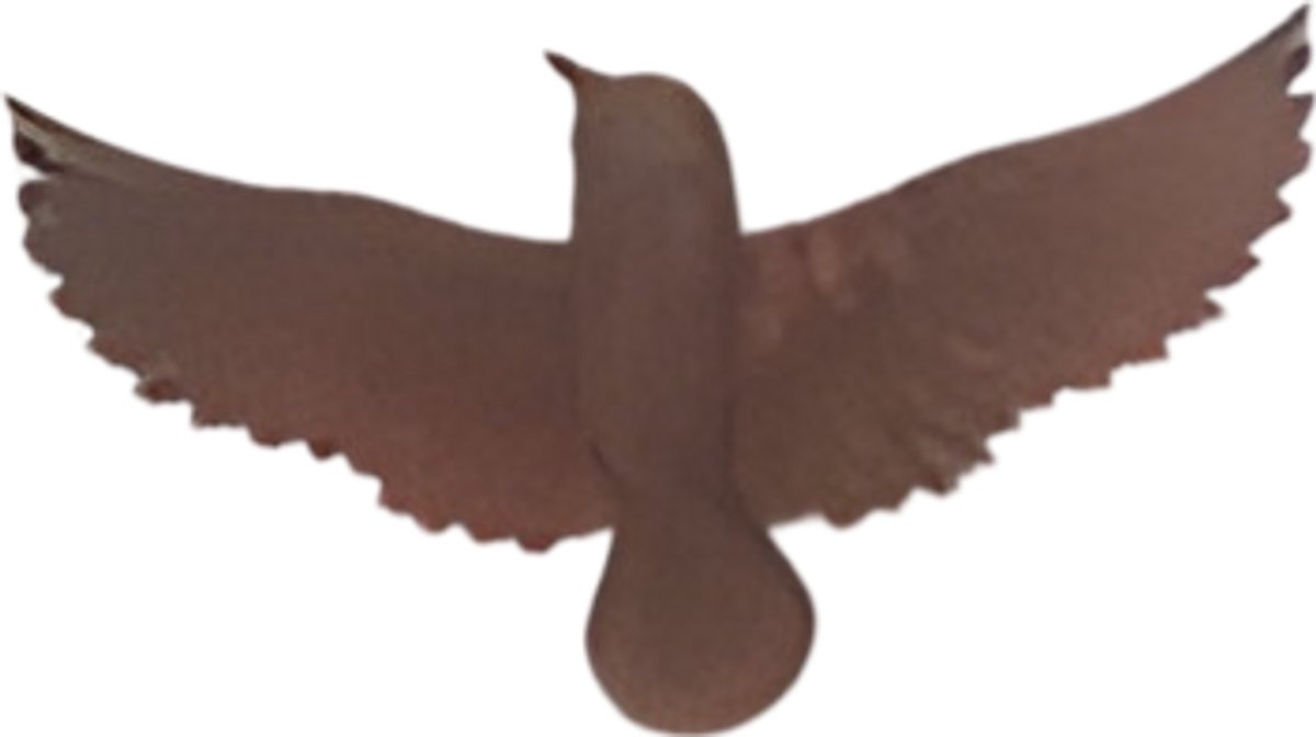 Buitengewoon de boet - Wanddeco ijzer vogel S 23x12x2 5 cm