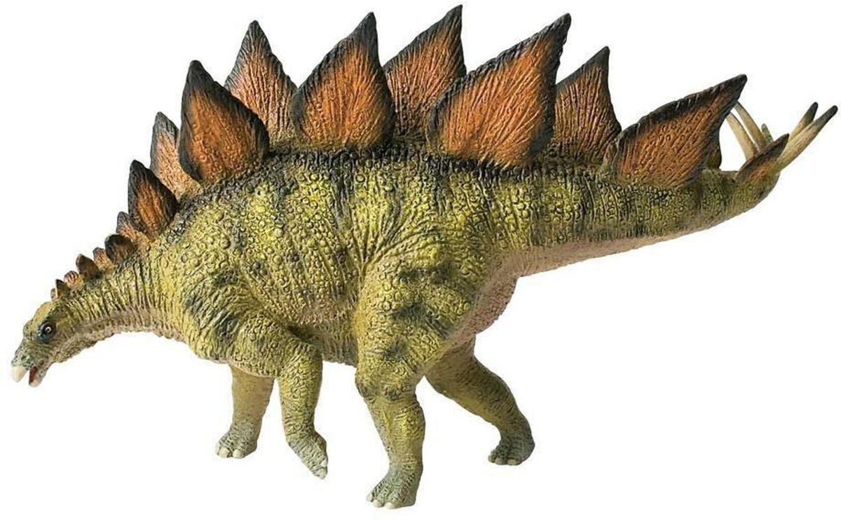 Stegosaurus Museum Line (3)