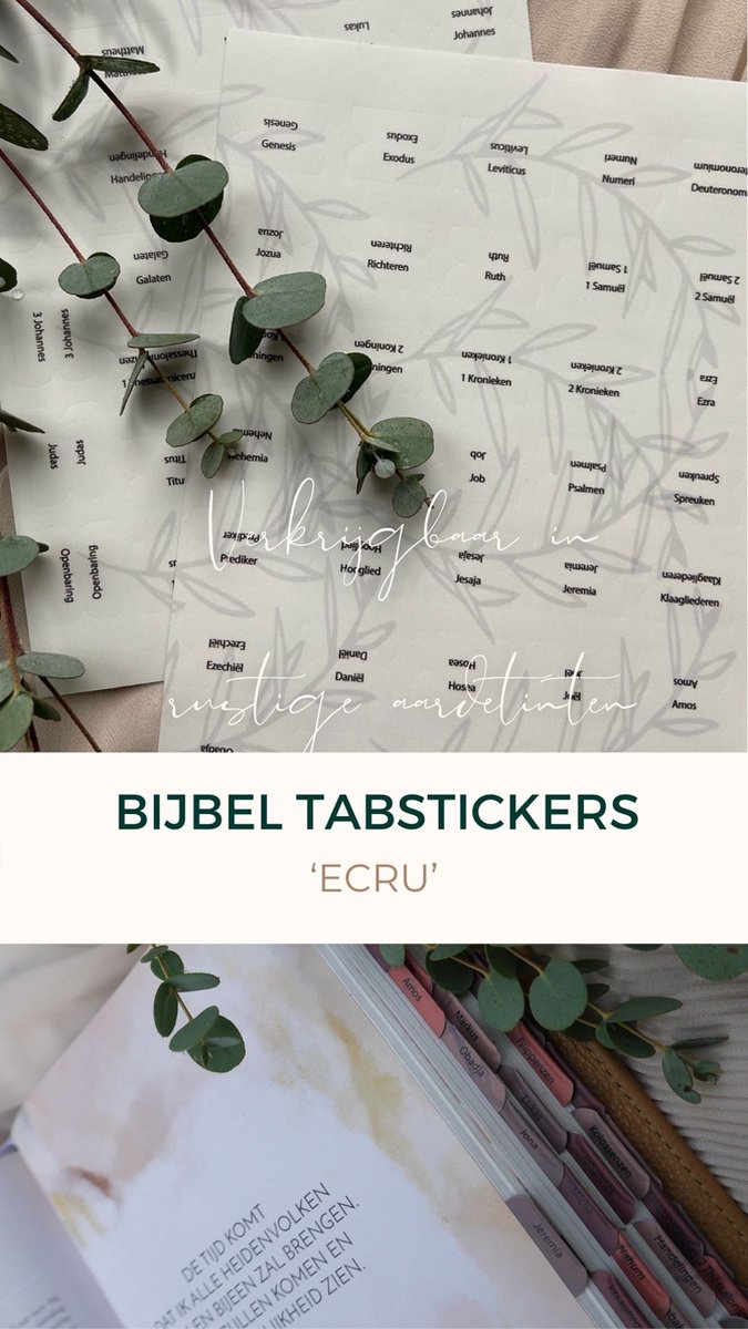 Bijbel tabstickers Nederlands in aardetinten 