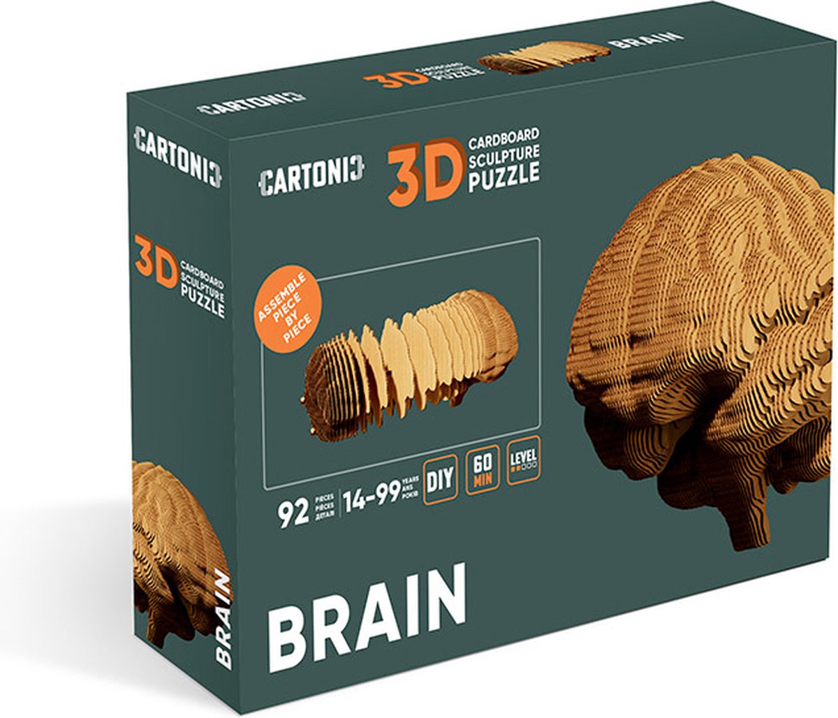 CARTONIC 3D Puzzle Brain - Decoratie voor kinderen en volwassenen - Gerecycled karton