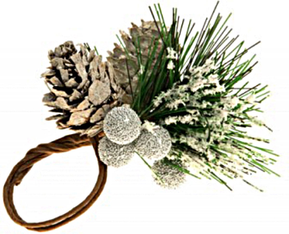 Besneeuwde Dennenappel & Besjes