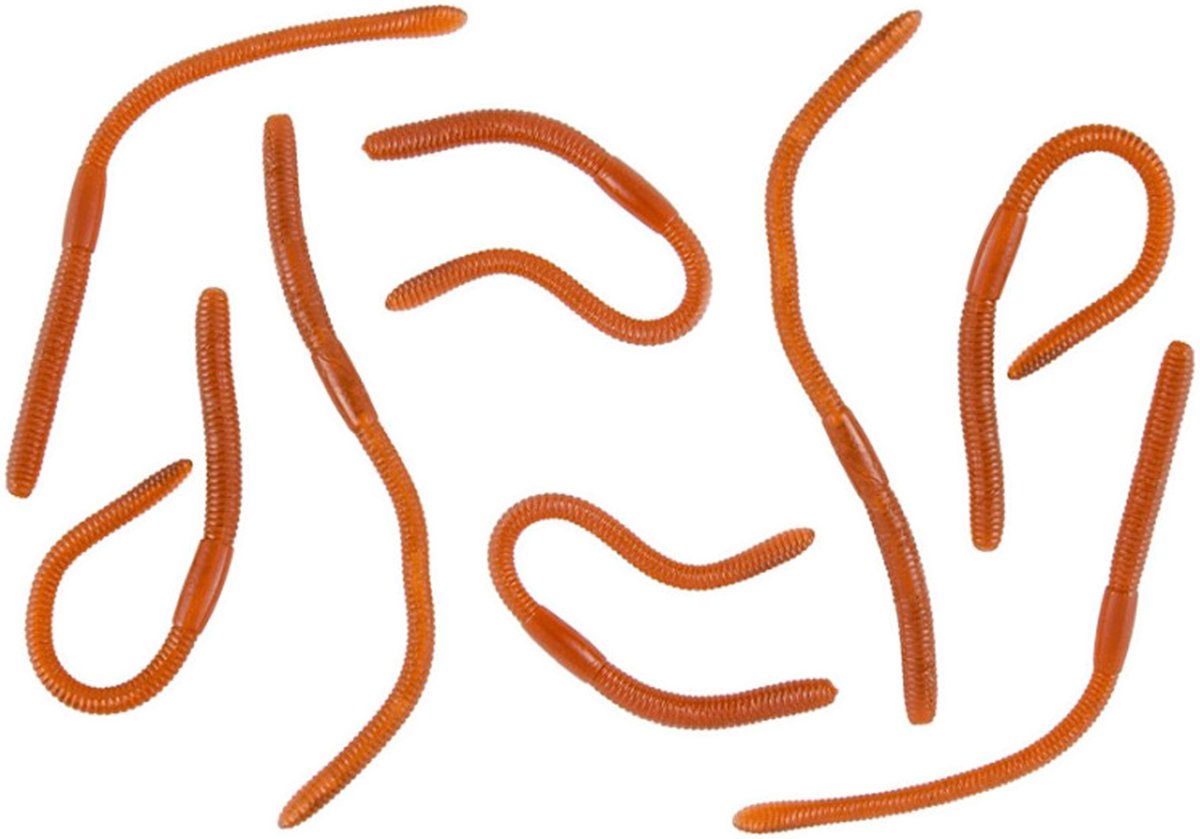 Chaks nep regenwormen 8 cm - bruin - 8x stuks - sticky - Horror/griezel thema decoratie beestjes