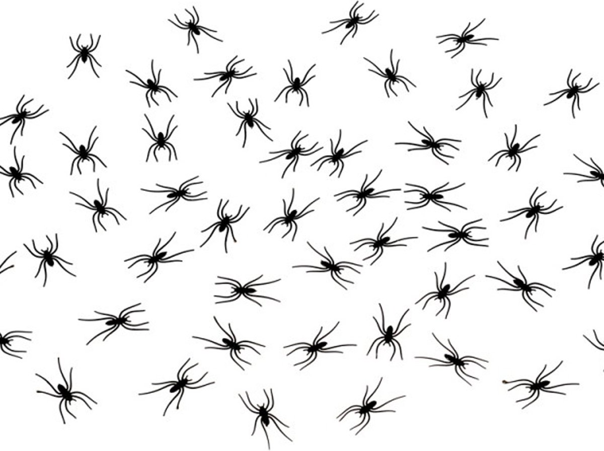 Chaks nep spinnen/spinnetjes 4 x 2 cm - zwart - 200x stuks - Horror/griezel thema decoratie beestjes