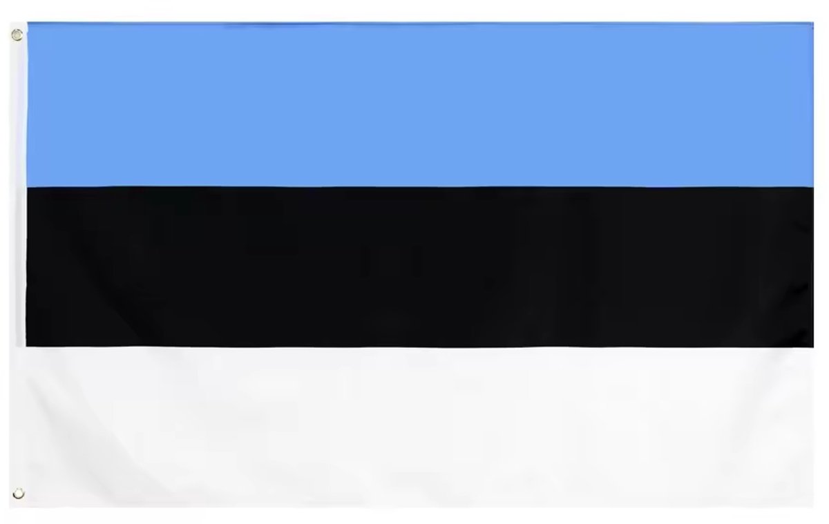 Estland vlag - Vlag van Estland - 150/90CM - Estlandse vlag - Landen - Themafeest - Met 2 oogjes - Polyester - CHPN