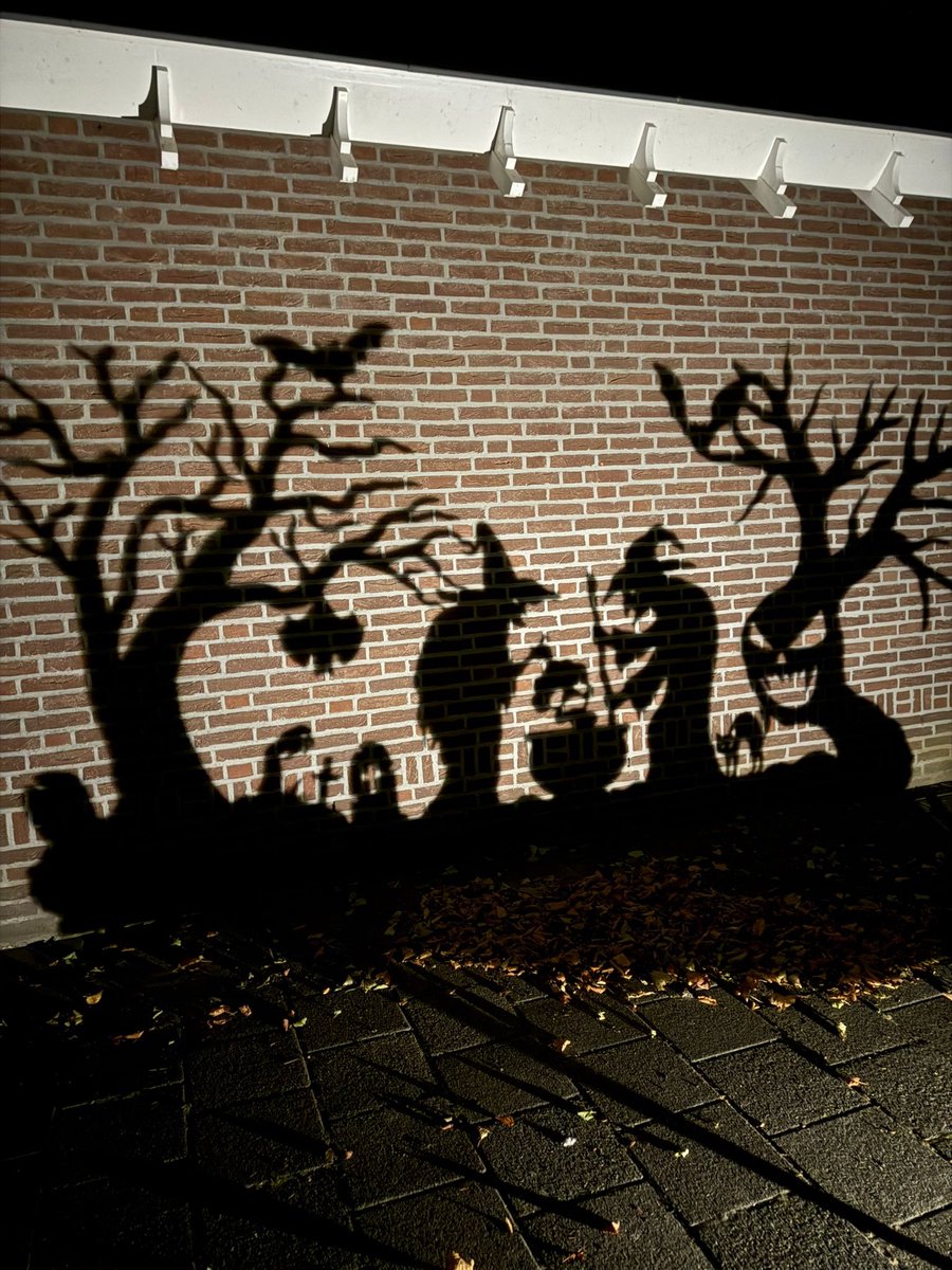 Halloween projector - Halloween decoratie - Halloween pompoen - Halloween versiering voor buiten - Halloween - Halloween versiering - Halloween decoratie heks - Halloween decoratie buiten - Halloween verlichting - Halloween decoratie licht