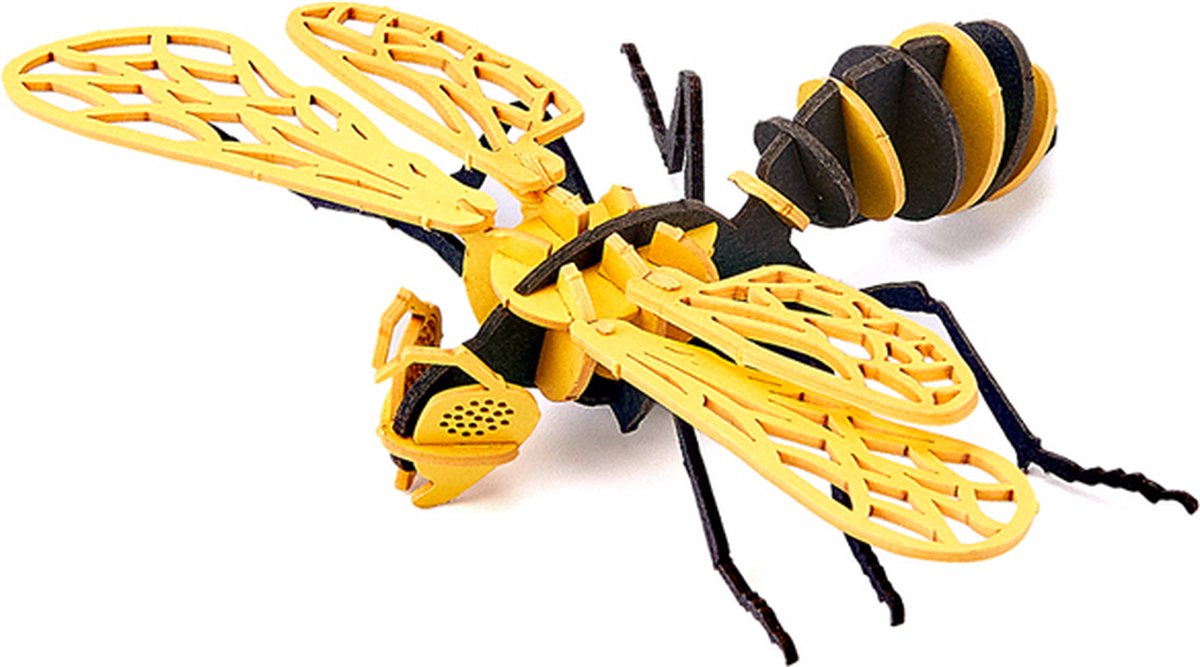 Cupuz 3D Cardboard Horzel