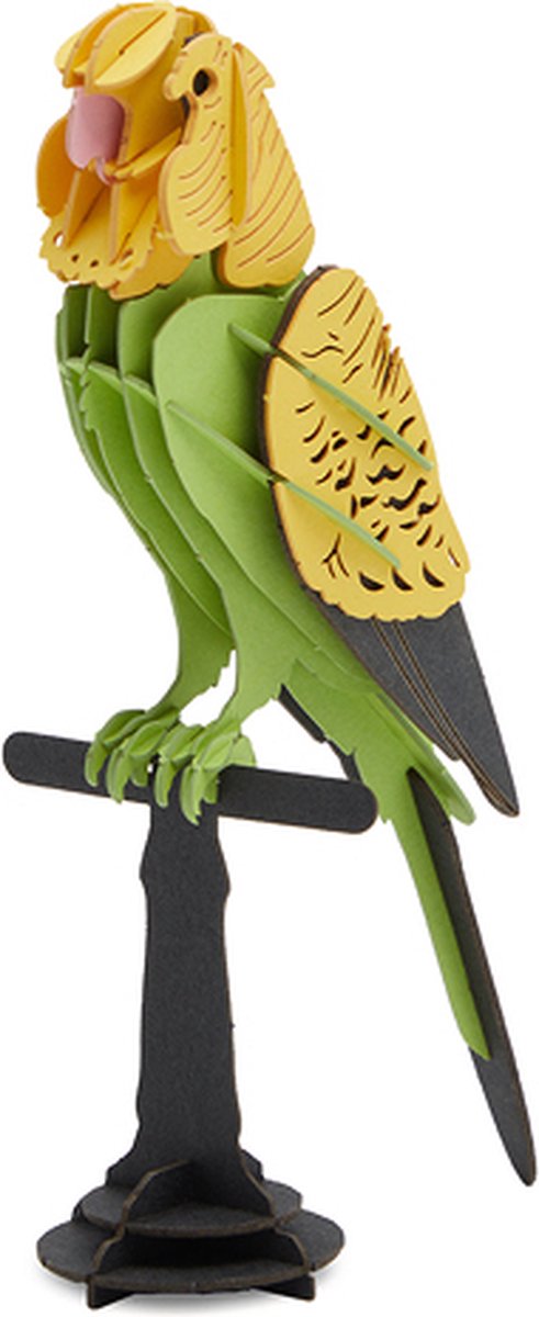 Cupuz 3D Cardboard Parkiet