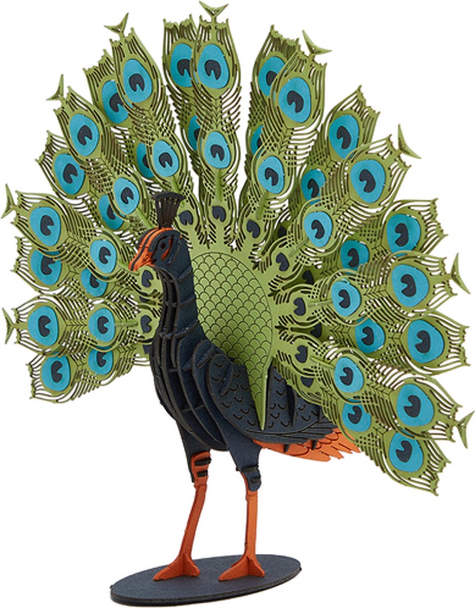 Cupuz 3D Cardboard Pauw