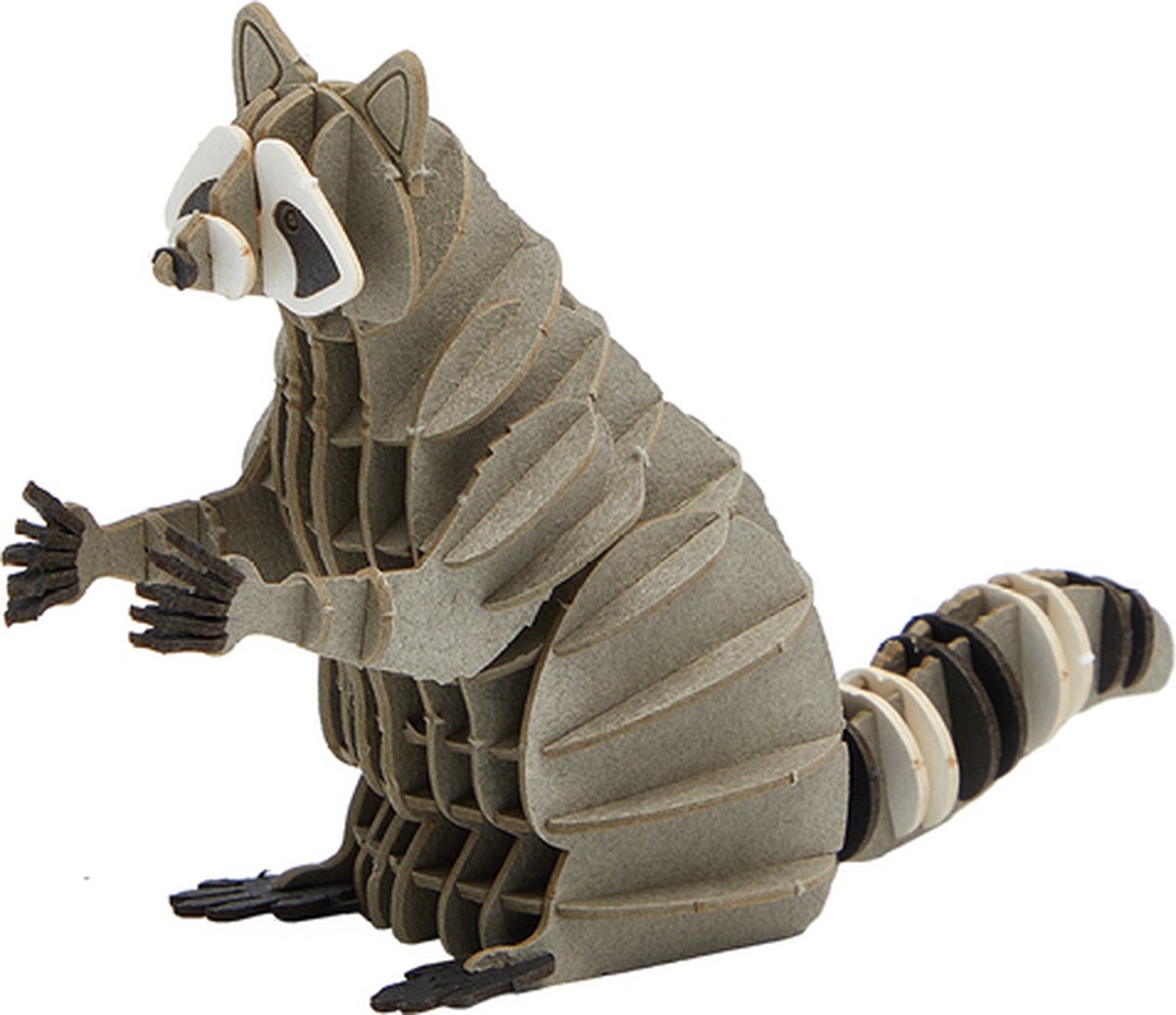 Cupuz 3D Cardboard Wasbeer