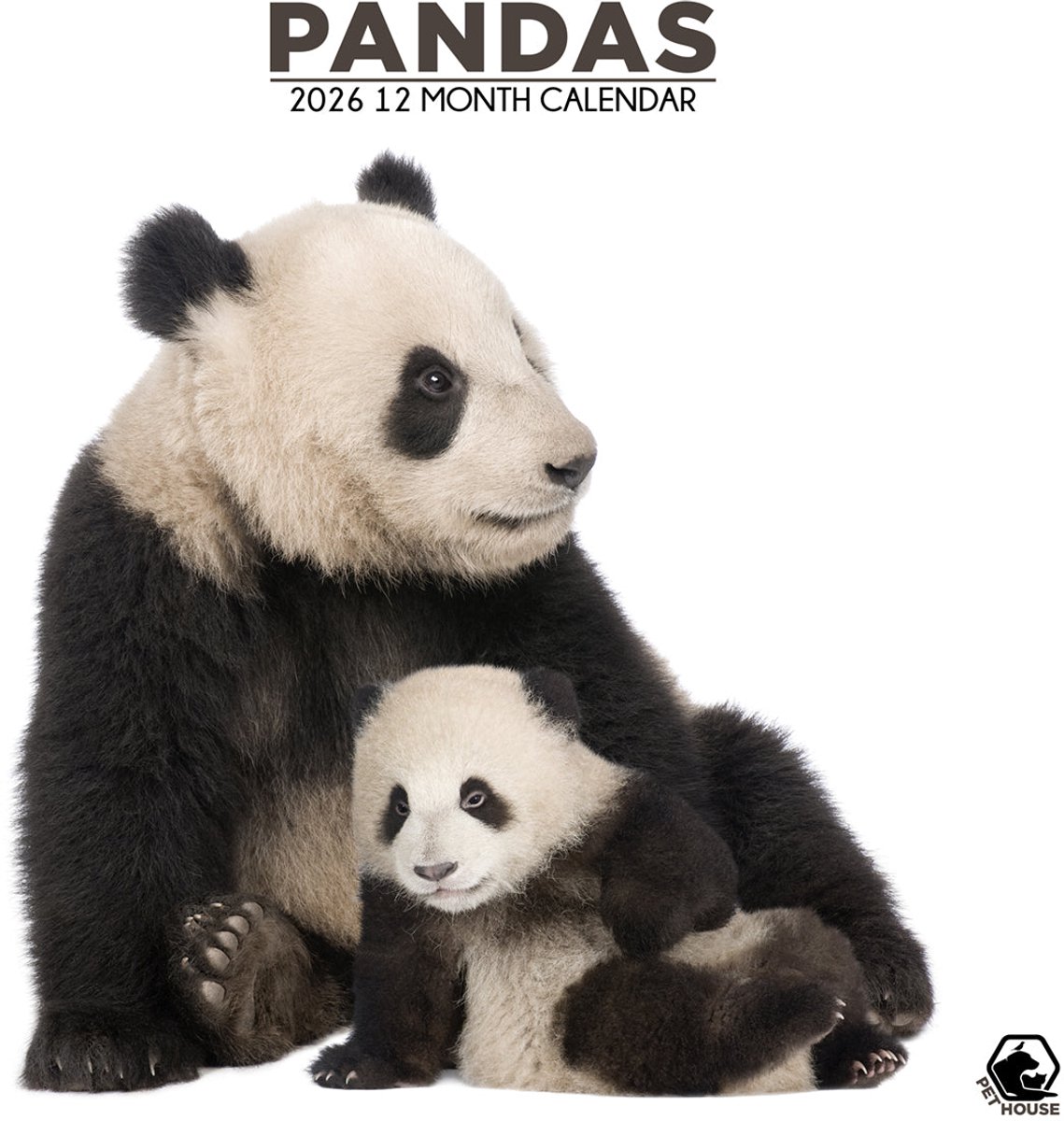 Panda Kalender 2026