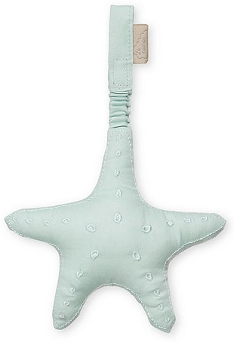 Cam cam activiteiten speeltje ster Breeze