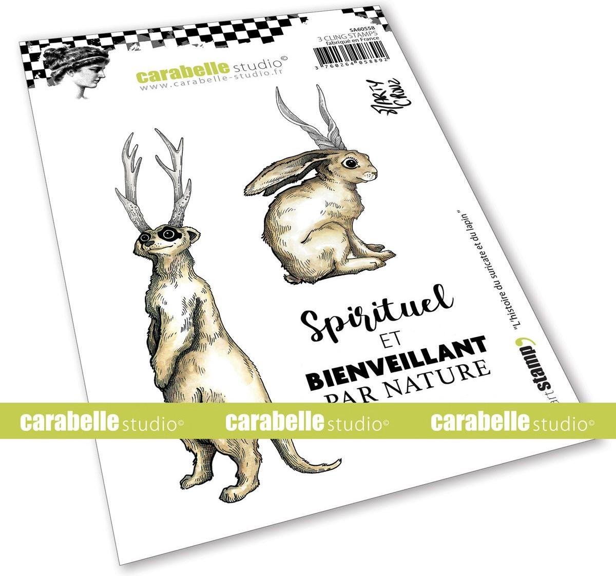 Carabelle Studio - Cling Stempel A6 LHistoire Du Suricate Et Du Lapin