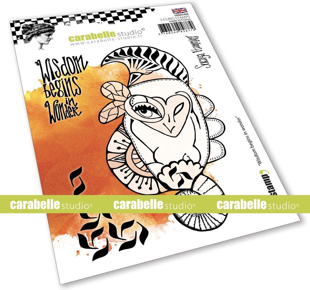 Carabelle Studio - Cling Stempel A6 Wisdom Begins In Wonder