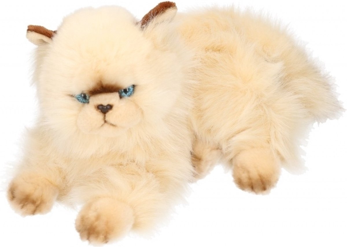 Pluche Persische katten knuffel 30 cm