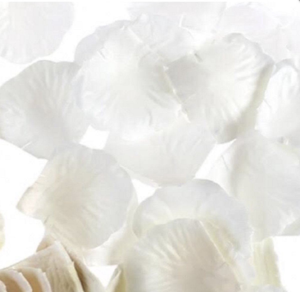 500 Rozenblaadjes Wit - Trouwen-Charme Bijoux