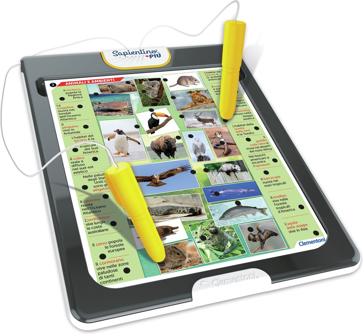 Clementoni Science & Jeu fun 8005125167289 educatief speelgoed