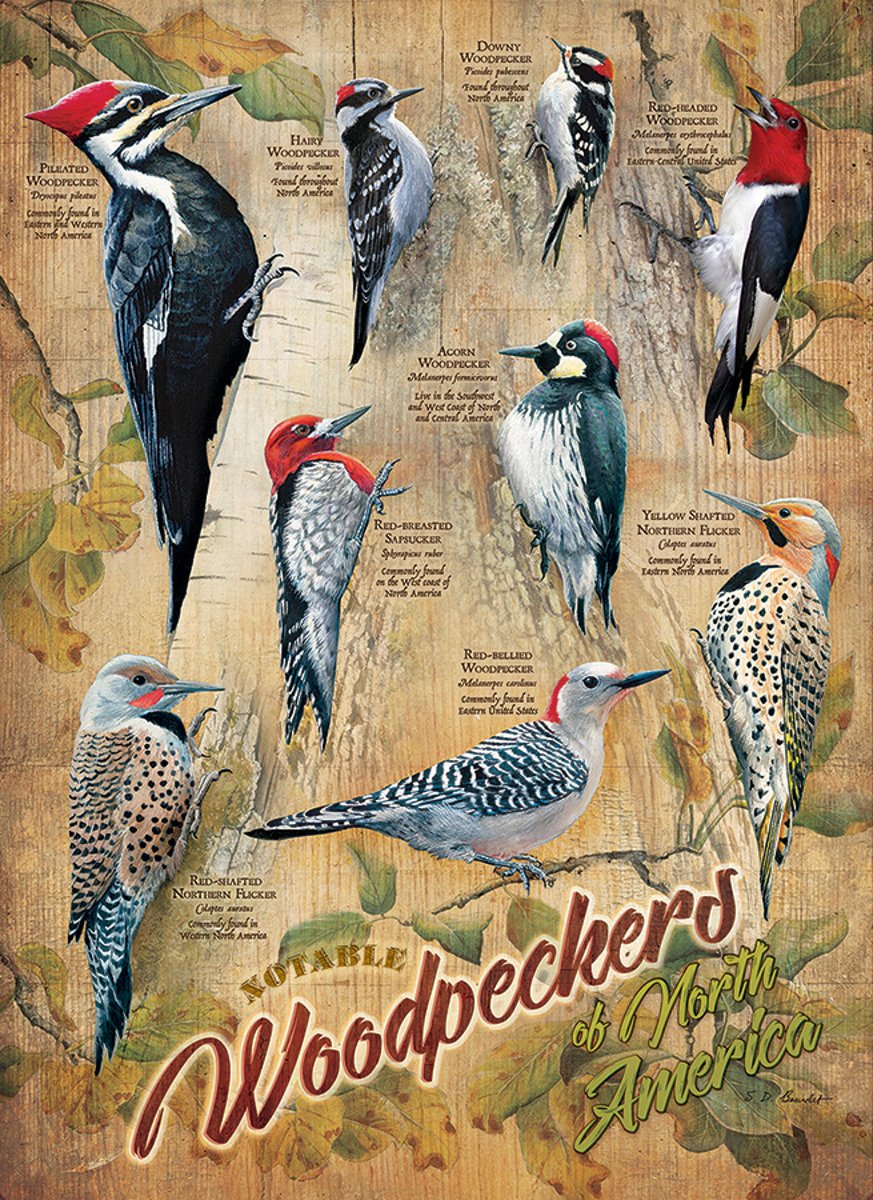 Cobble Hill: Notable Woodpeckers (500) verticale legpuzzel