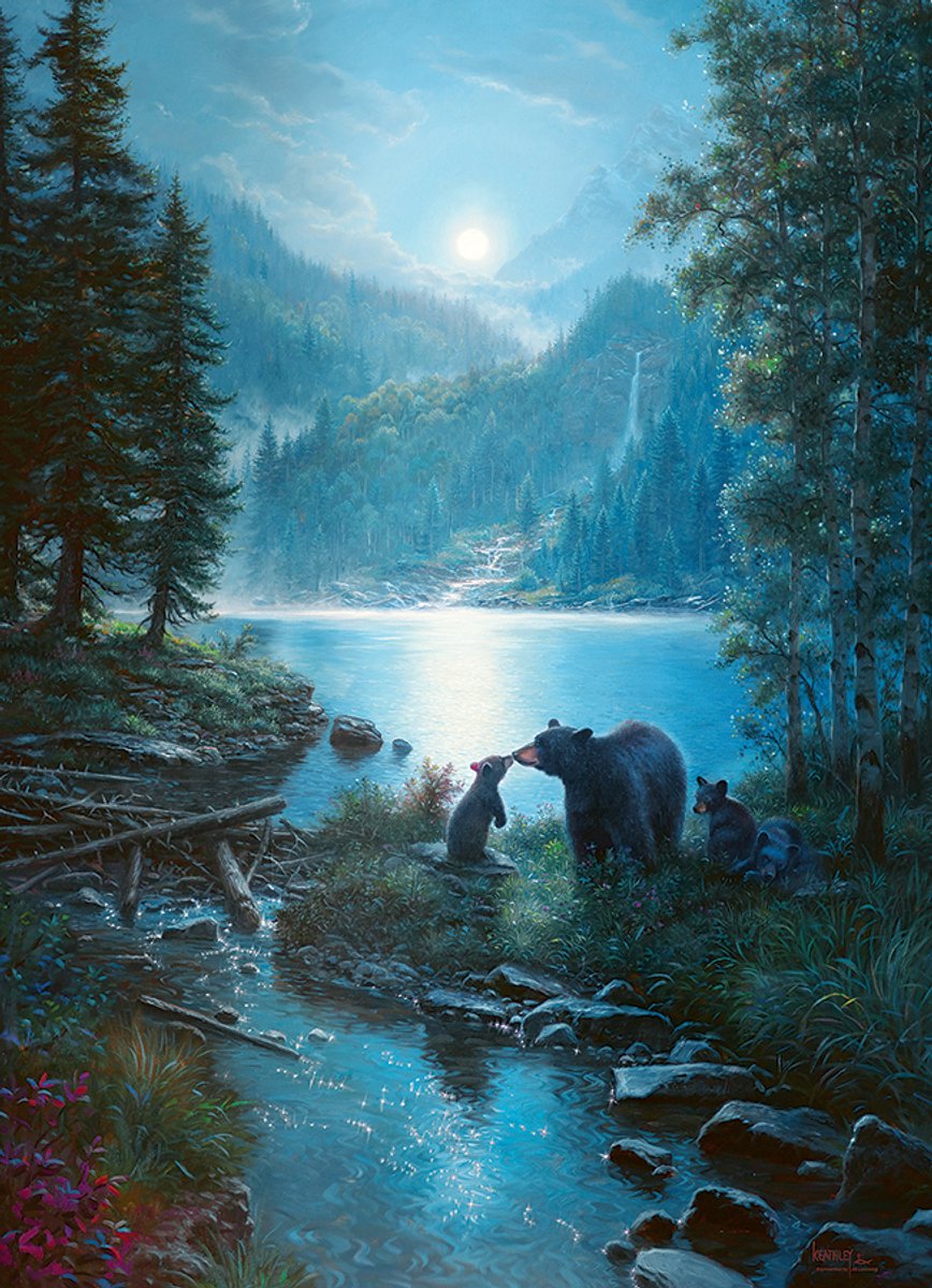 Cobble Hill legpuzzel Bear Night - 1000 stukjes puzzel volwassenen.