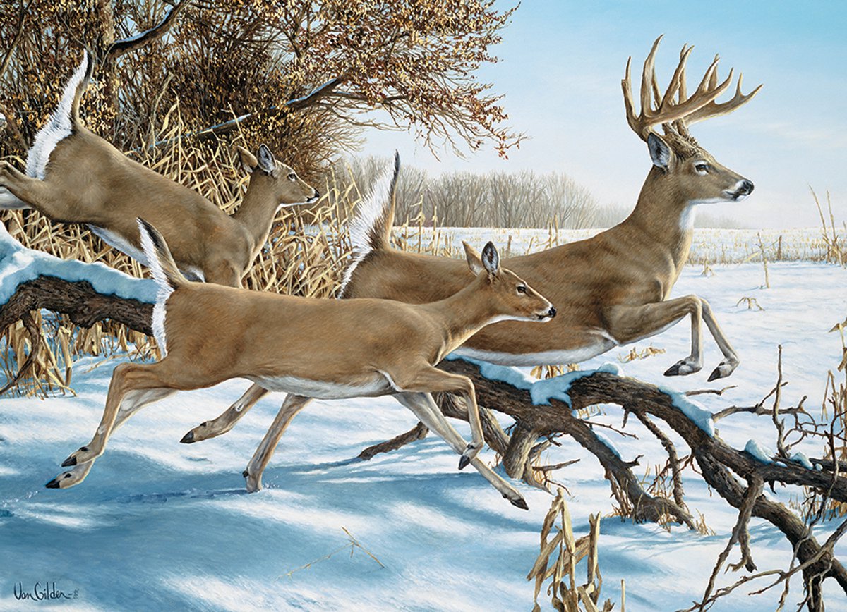 Cobble Hill legpuzzel Breaking Cover - 1000 stukjes puzzelplezier.