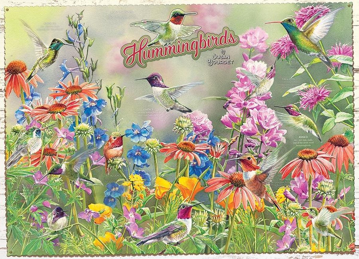Hummingbirds Cobble Hill 1000  Susan Bourdet