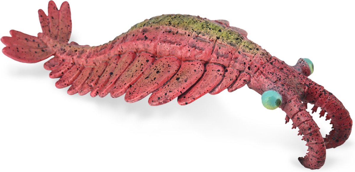 COLLECTA Anomalocaris - (L).