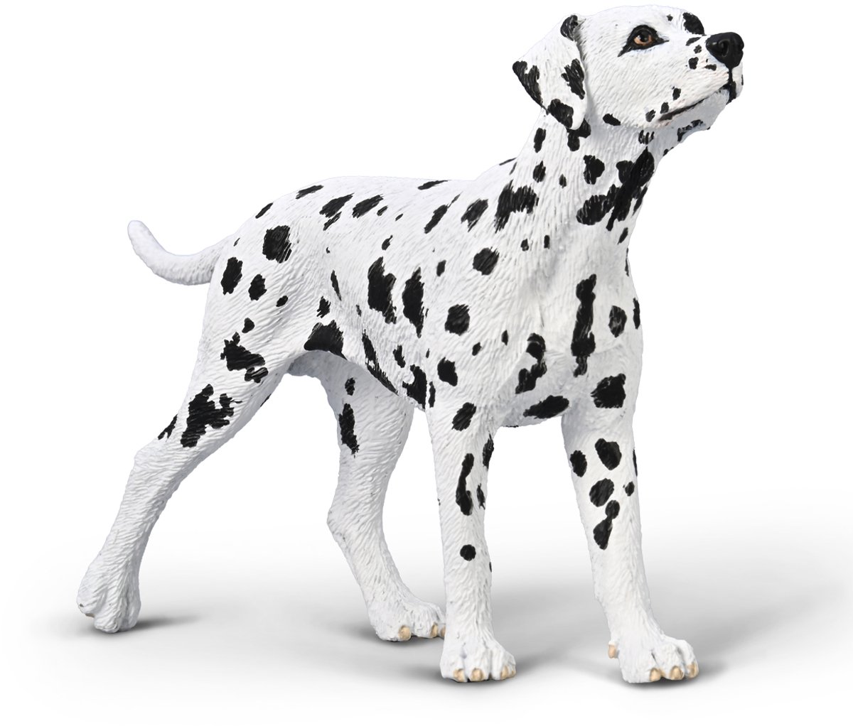 Collecta Dalmatiër hond - realistisch speelgoed dierfiguur.