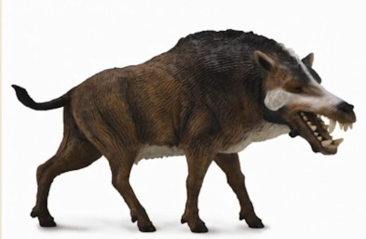 Collecta Dinosaurus Daeodon Schaal 1:20