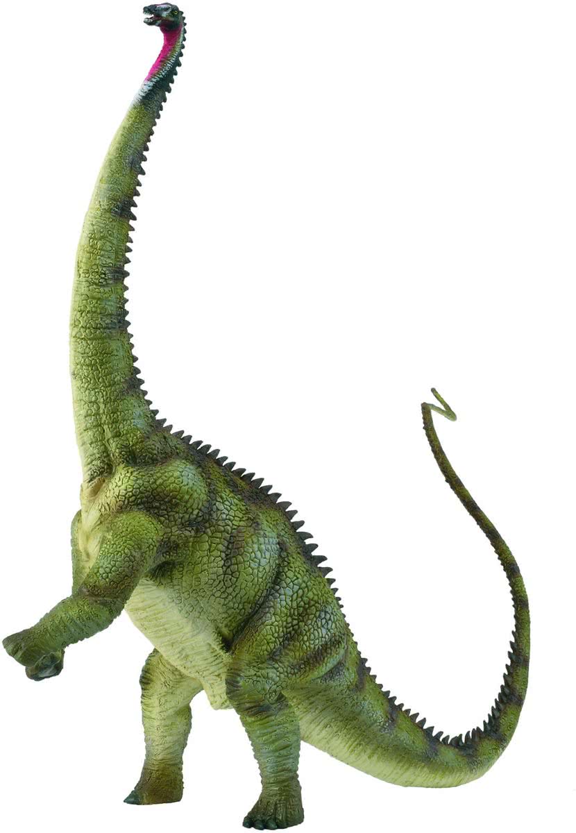 Collecta Prehistorie: Diplodocus