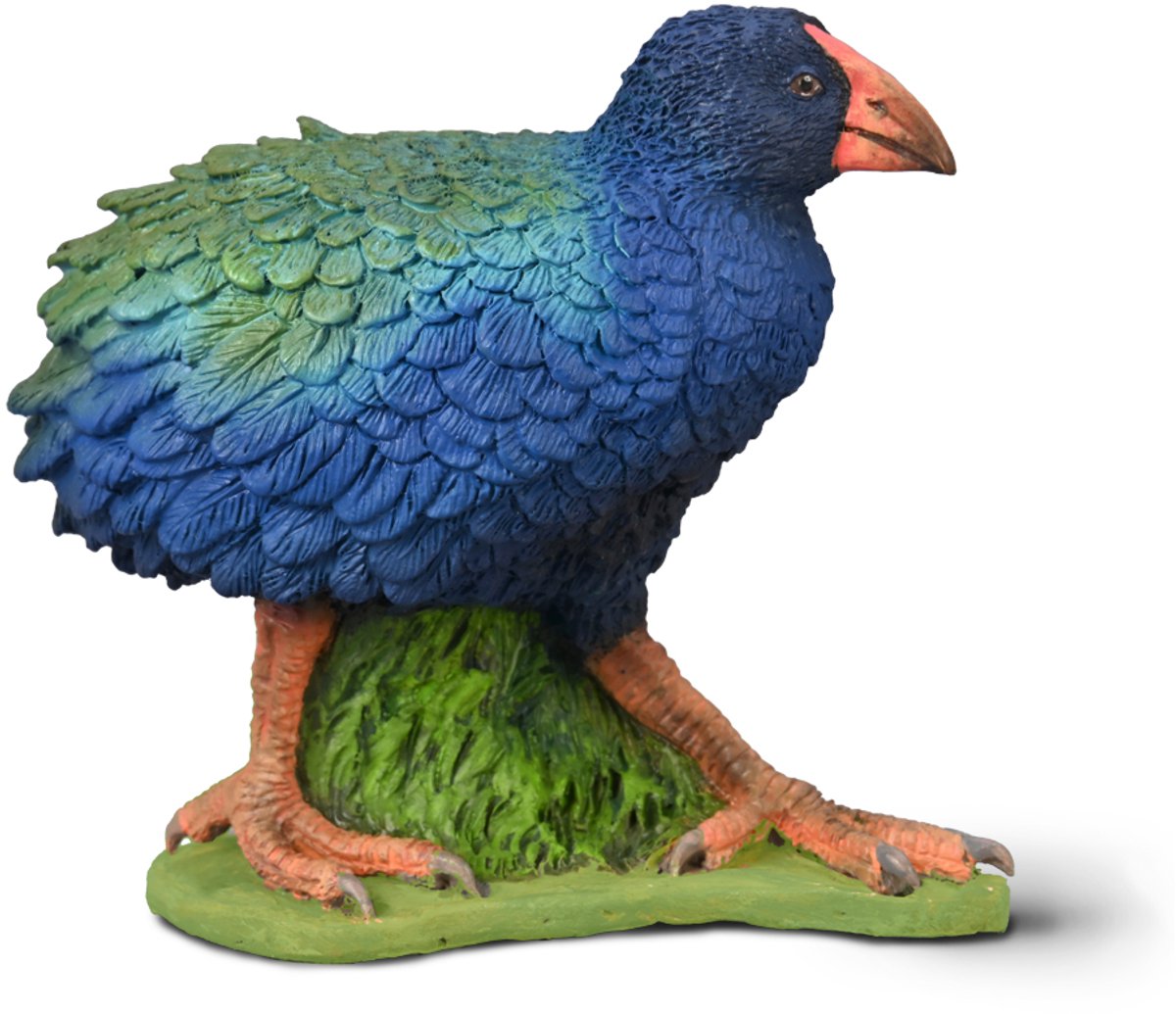 Collecta Takahe speelgoedfiguur - educatief safari dier.
