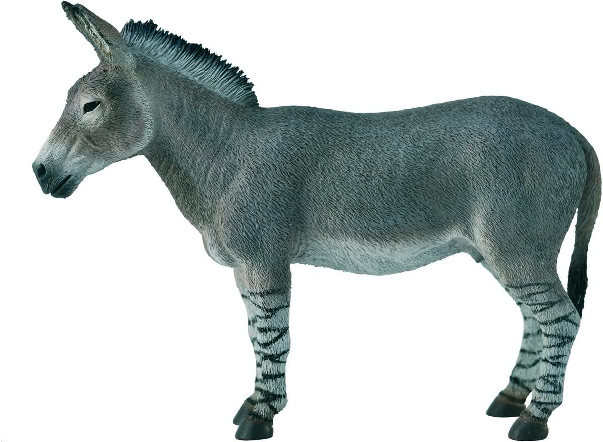 Collecta Wilde Dieren Wilde Ezel 11 X 8 Cm
